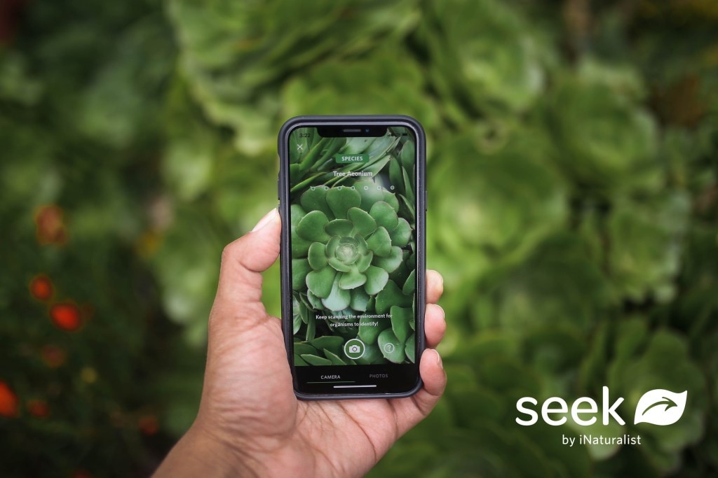 Someone's hand taking a picture of a green plant in the app.