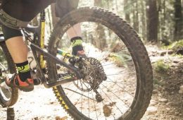 Mountain biking on a sunlit trail