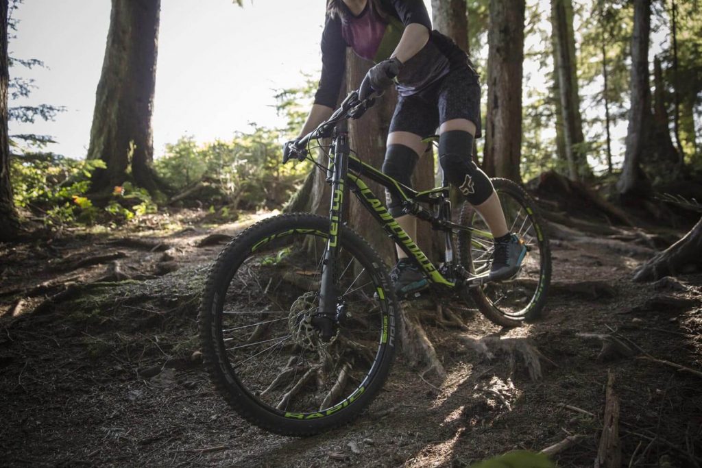 Mountain biker navigating around roots on a shady trail