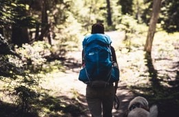 Hiker in the woods
