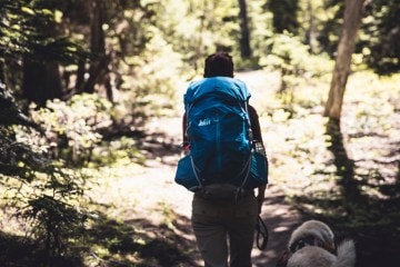 Hiker in the woods