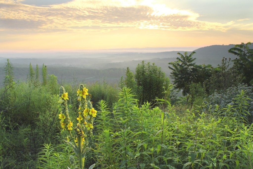 The New England Trail