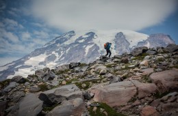 Rainier National Park