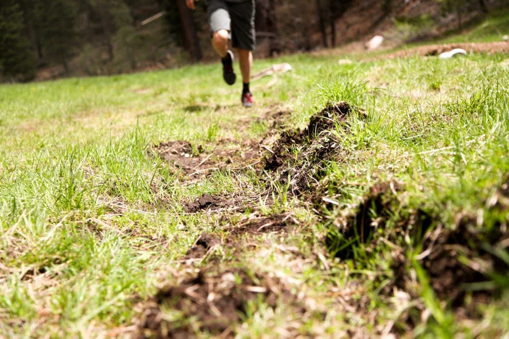 The Best Hiking Boots and Best Hiking Shoes for Men Fatherly The Best Hiking Boots and Best Hiking Shoes for Men Fatherly