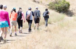 Latino Outdoors hikers