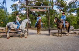 Arizona Trail (AZT)
