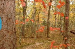 North Country Trail (NCT)