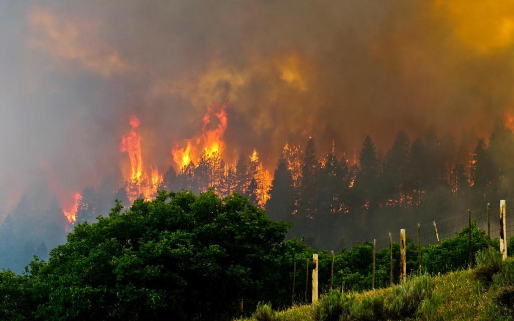 416 Fire