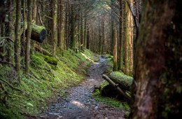 Appalachian Trail (AT)