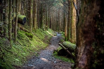 Appalachian Trail (AT)