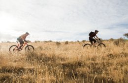Cyclists on a trail