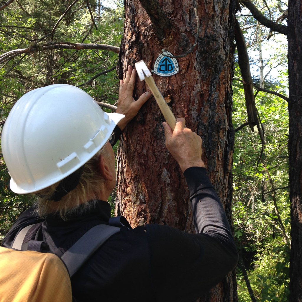 Volunteer putting up a blaze on the CDT