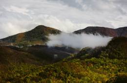 Great Smoky Mountains