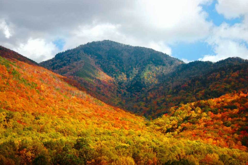 Smoky Mountains in Fall