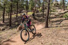 Mountain bikers on a trail