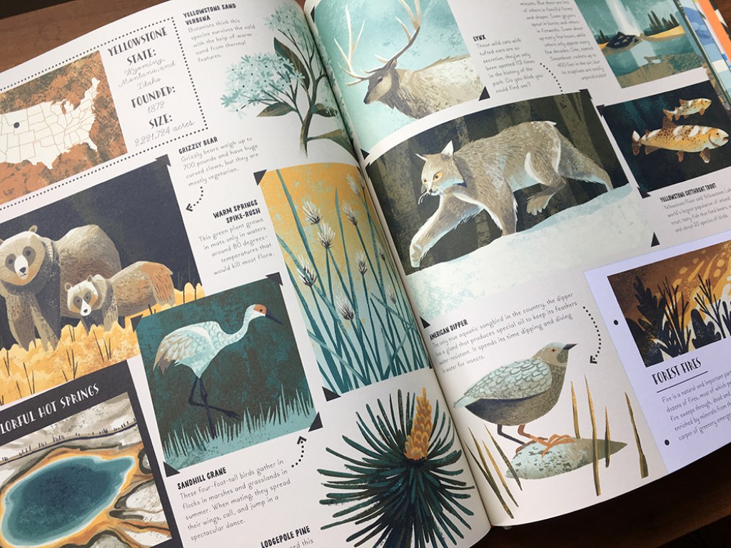 A page detailing the plant and animal life of Yellowstone National Park.