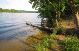 Lake Tillery at Morrow Mountain State Park is in the Uwharrie Mountains of Stanly County, North Carolina