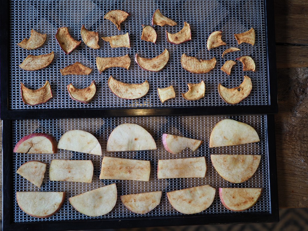 How to Dehydrate Food for Camping & Backpacking REI Coop Journal