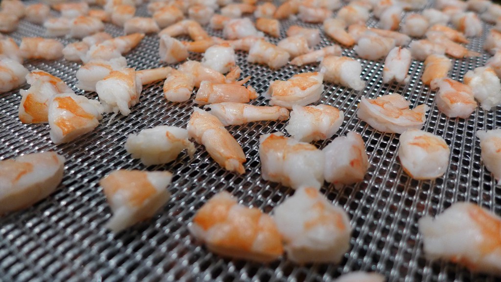 How to Dehydrate Food for Camping & Backpacking REI Coop Journal