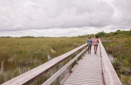 Your Guide to Understanding Public Lands