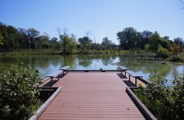 West Ridge Nature Preserve: A Hidden Oasis at One of Chicago’s Busiest Intersections