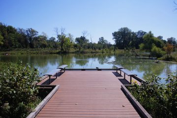 West Ridge Nature Preserve: A Hidden Oasis at One of Chicago’s Busiest Intersections