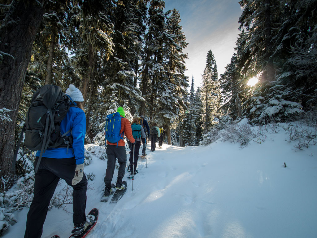 Snowshoe
