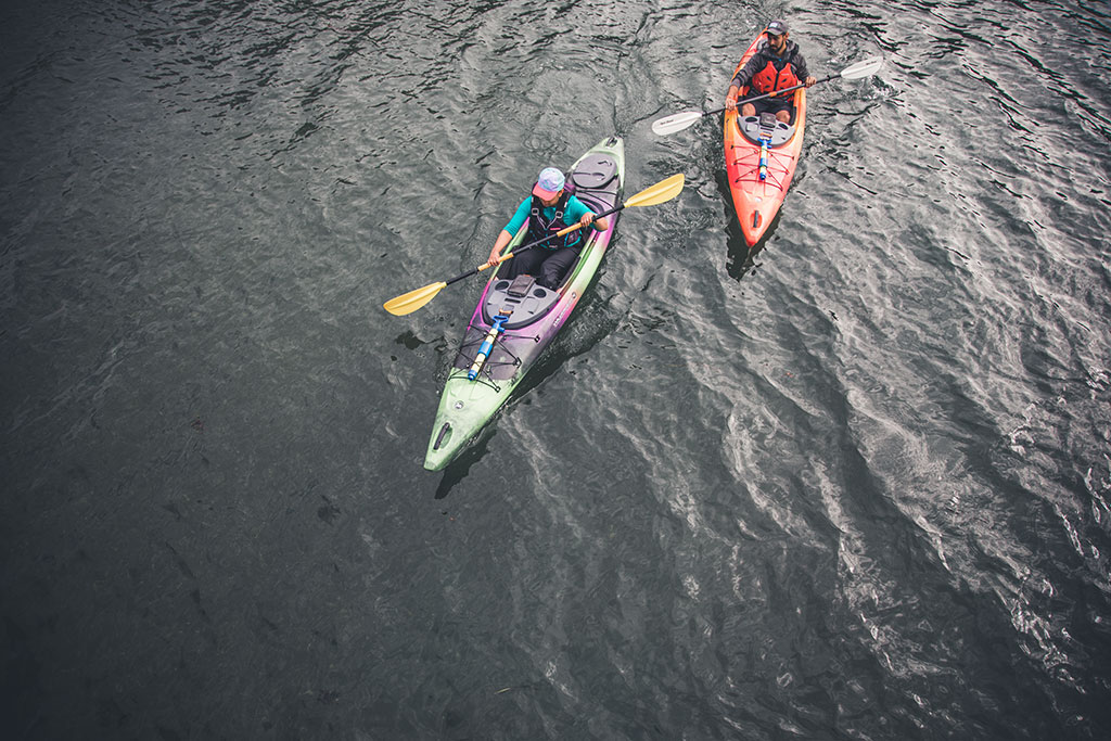 Kayakers in the water