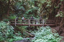 Election Results: Outdoor Ballot Initiatives