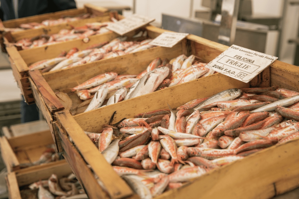 Anchovies are a Cinque Terre staple.