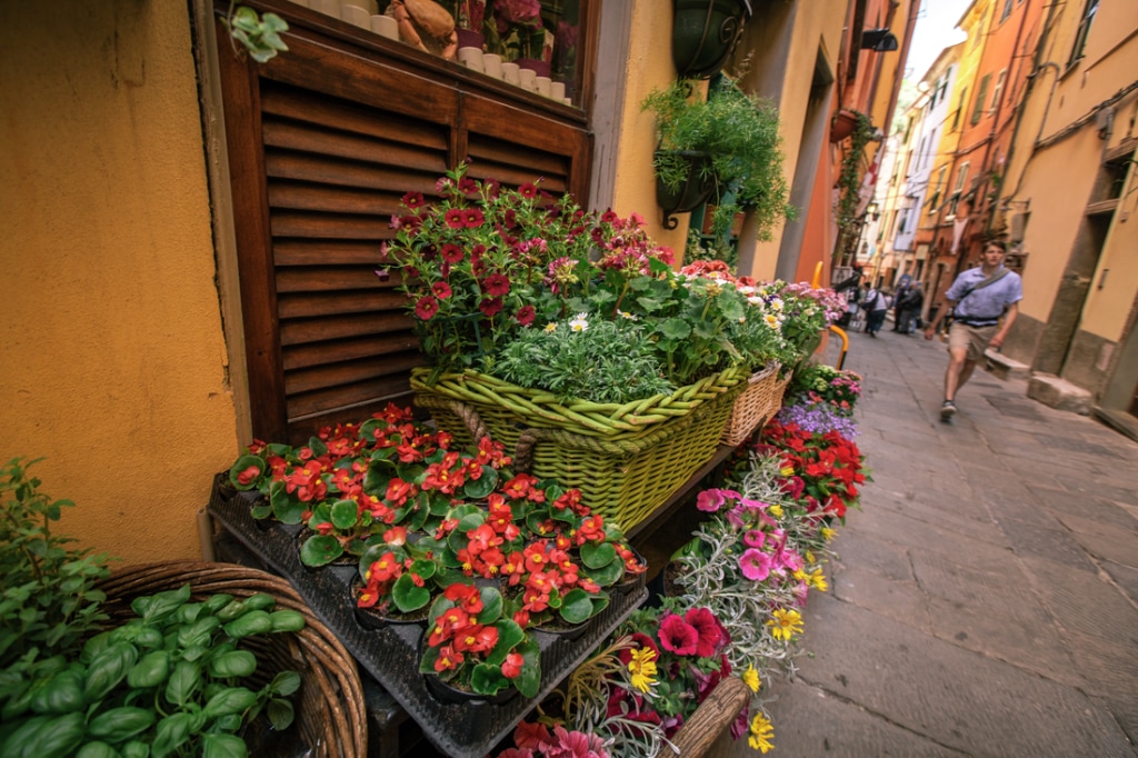 Flowers light up a Cinque Terre alleyway.