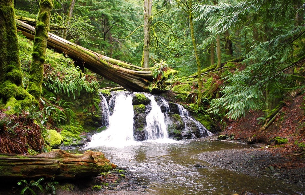 Moran State Park.