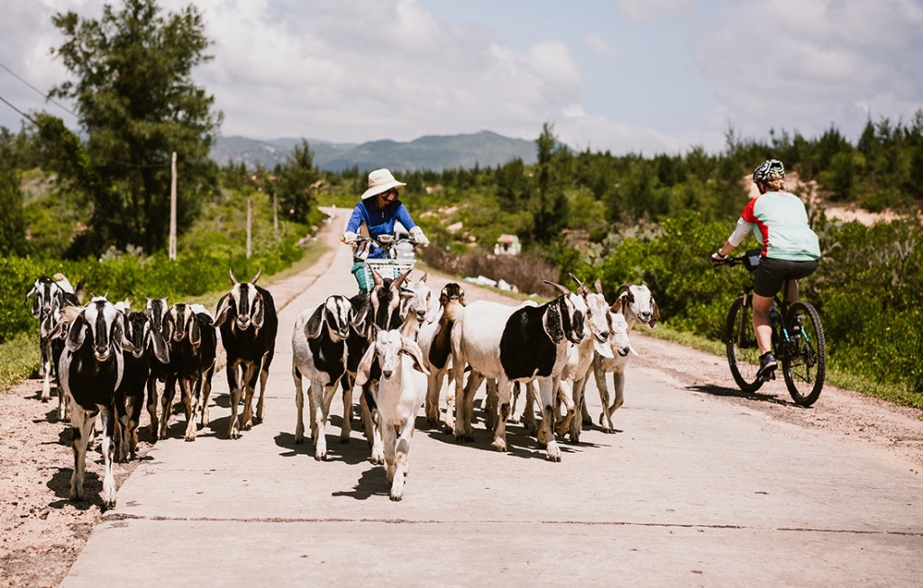 A traveler passes a local tending to the flock.