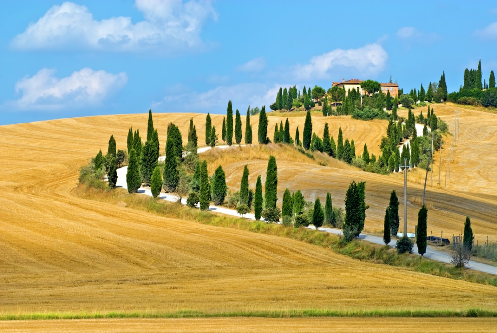 The rural Tuscany countryside.
