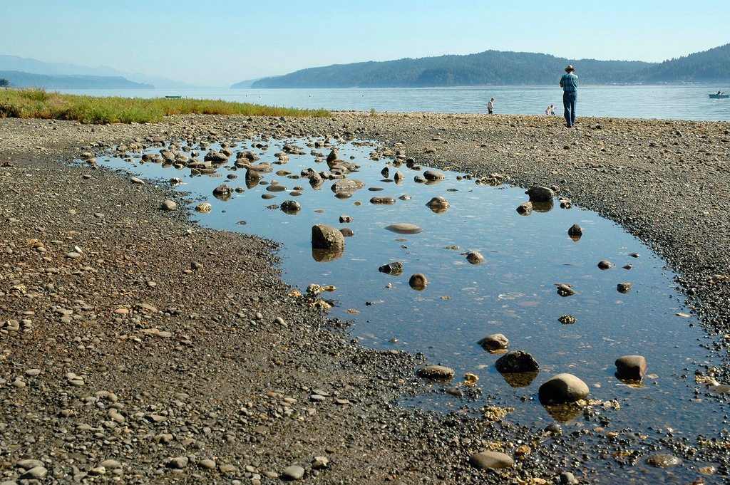 Potlatch State Park.