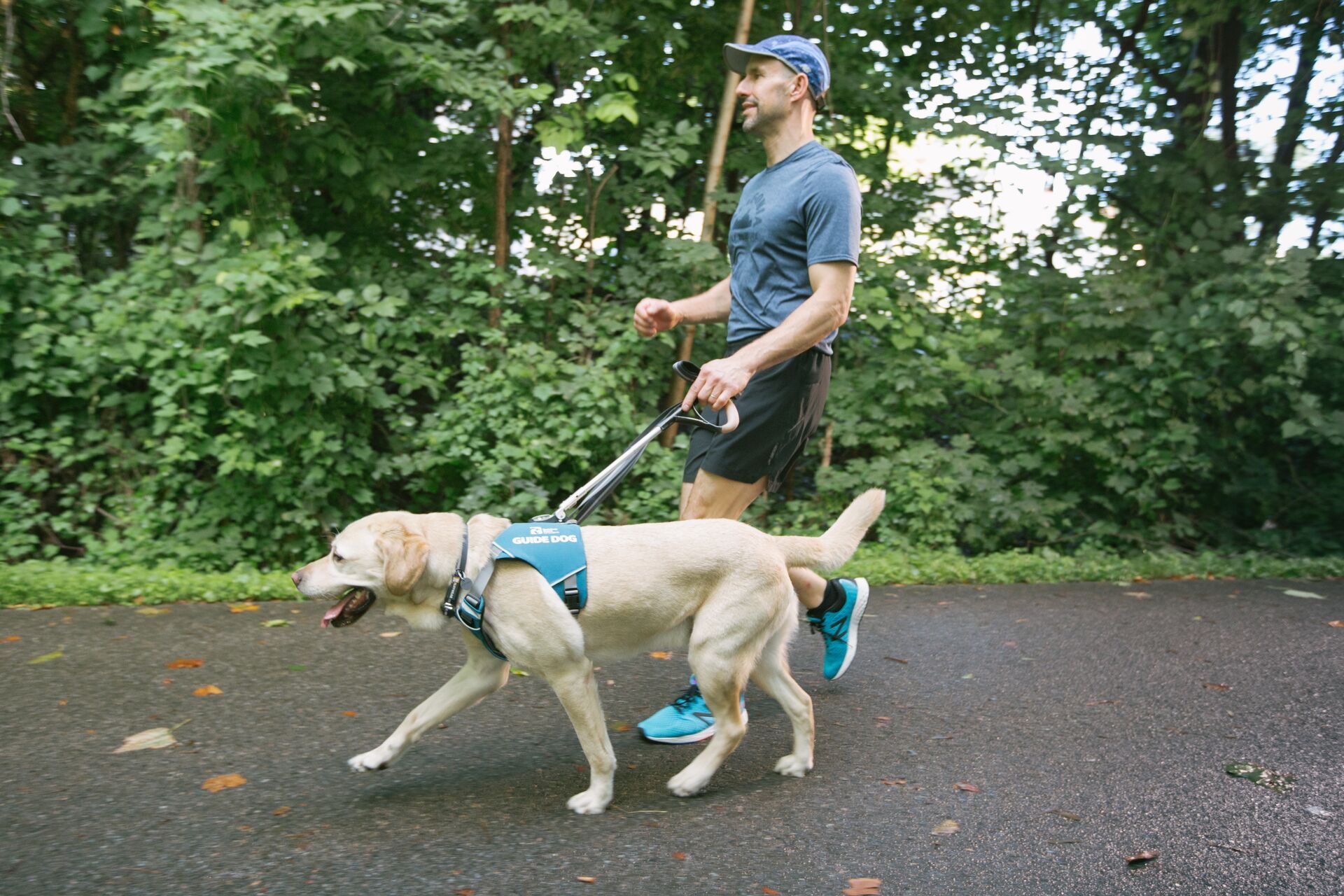 Guide Harness Ruffwear Rethinks Guide Dog Harnesses - REI Co-op Journal