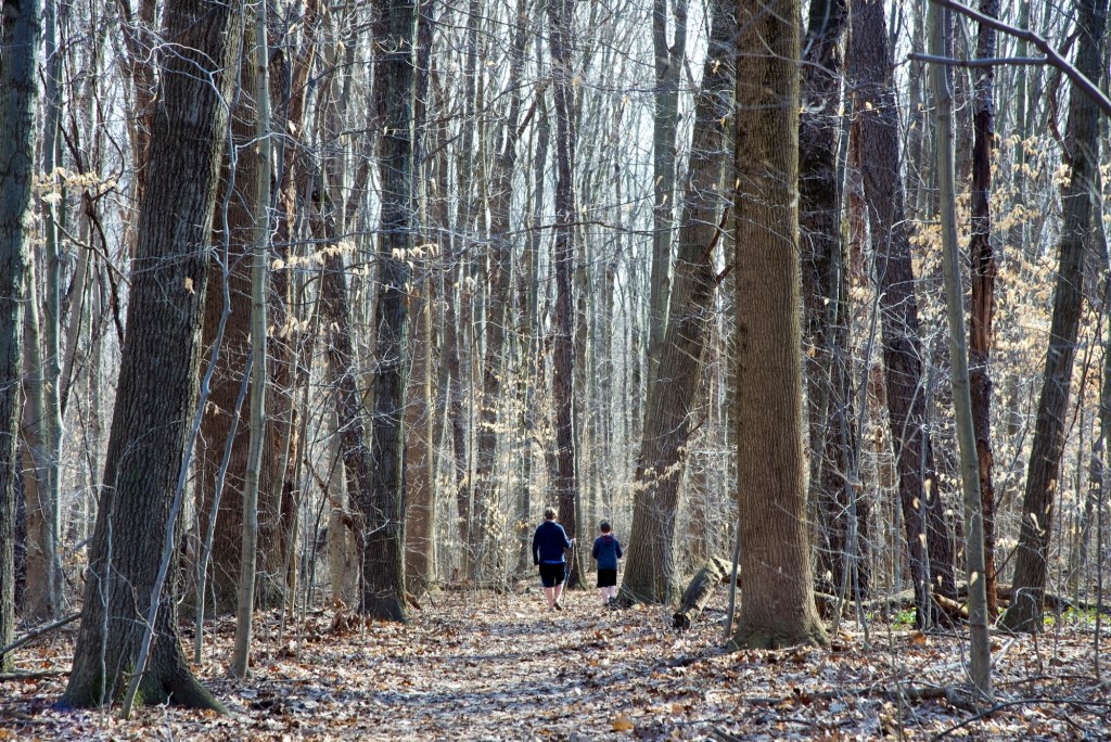 Two hikers along the trail at Warren Woods.