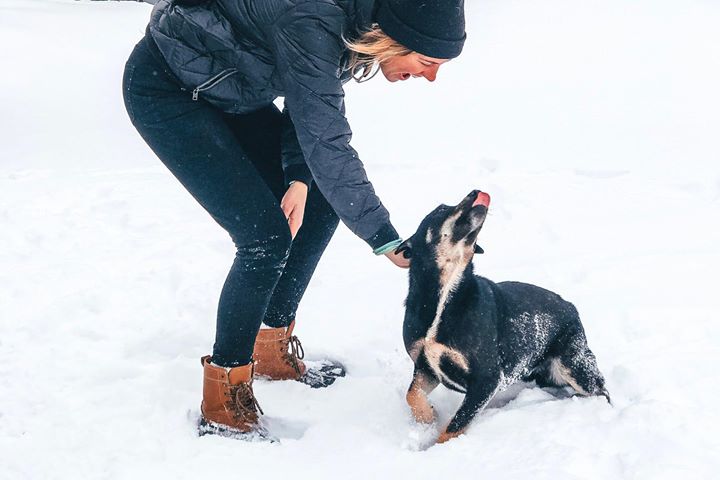 Aubree and puppy playing in the snow. The puppy's tongue is sticking out!