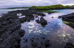Tide pool reflect the sky in the Galapagos Islands.