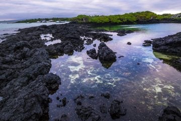 Tide pool reflect the sky in the Galapagos Islands.
