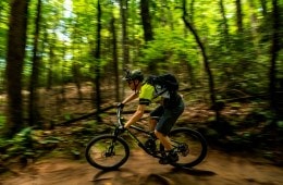 A mountain biker swoops through Pisgah National Forest.