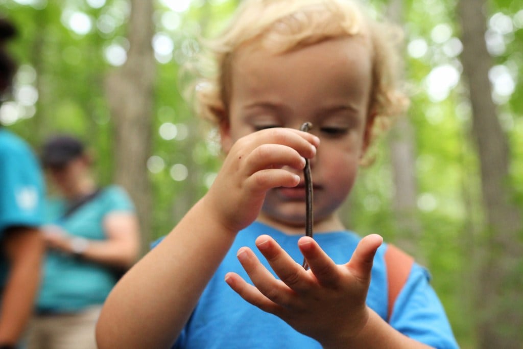 A toddler investigates a wriggling worm up-close