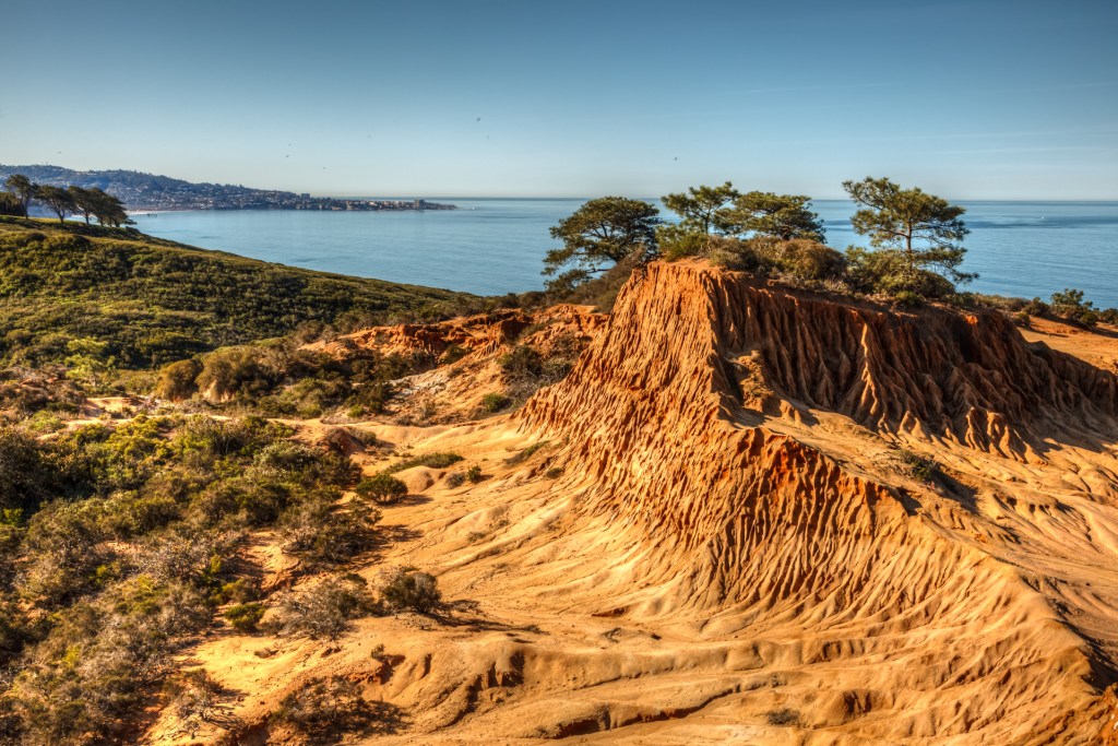 A hillside by the ocean.