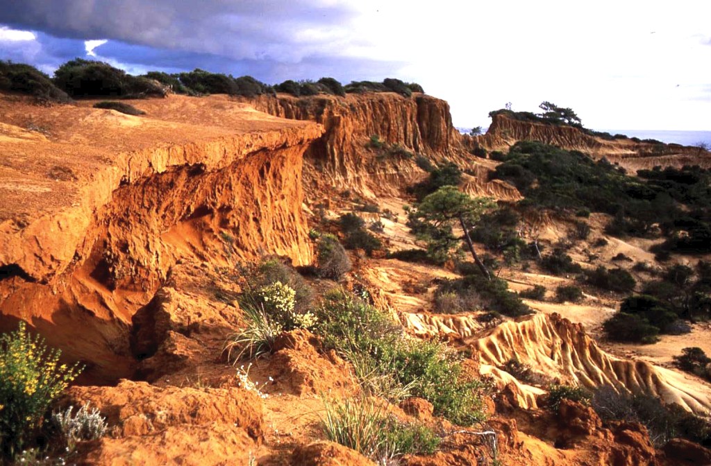 View of Torrey Pines State Natural Reserve