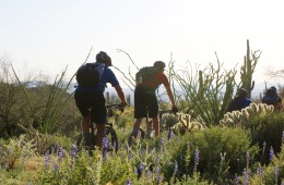 4 Things to Get Excited About for Mountain Bike Season