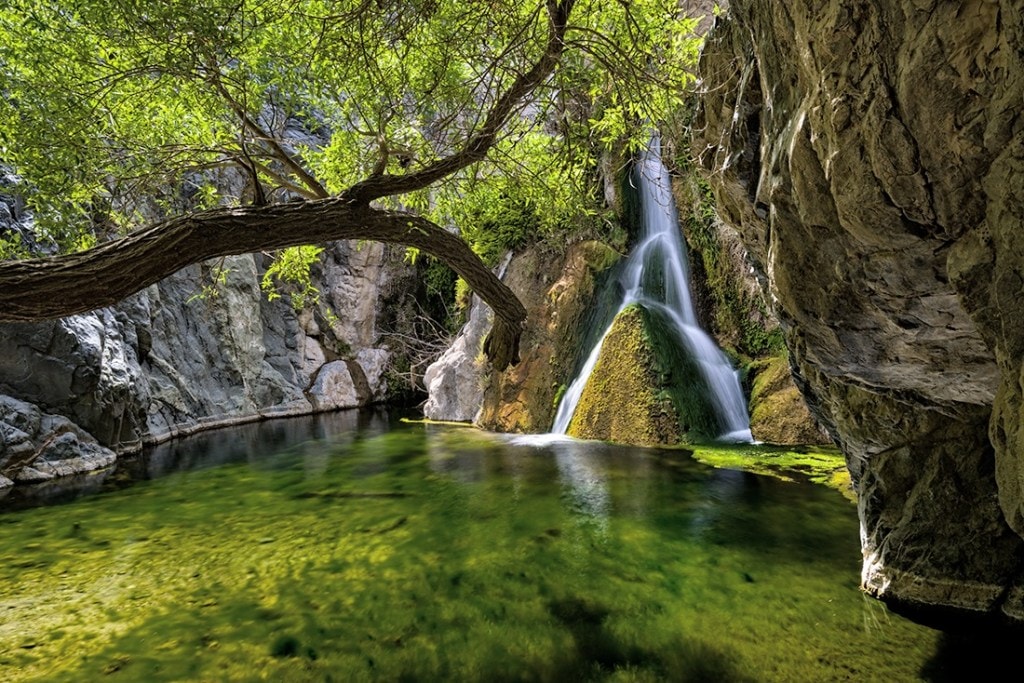 Darwin Falls glitters like a desert oasis.