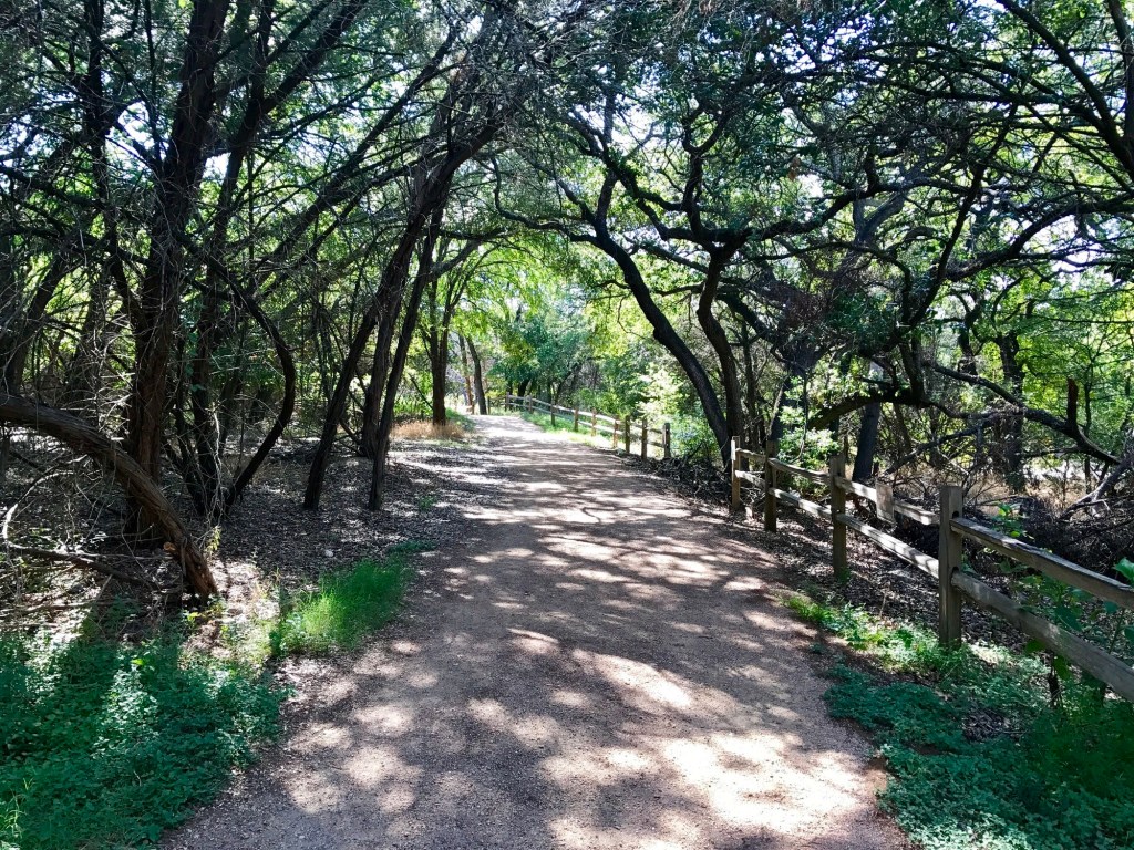 A shaded dirt trail in Hamilton Greemnbelt.