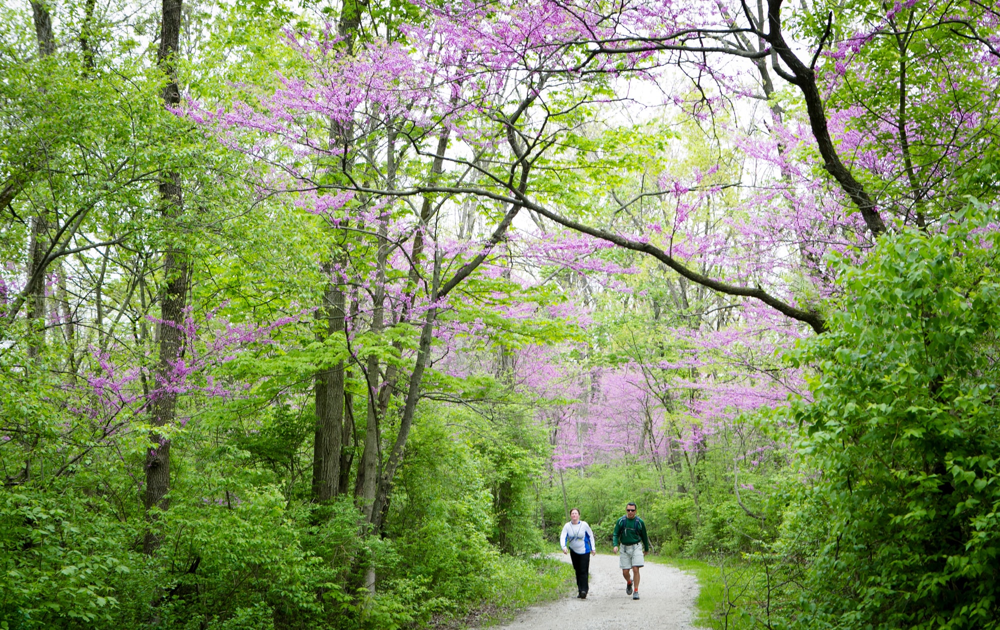 Wildlife in Distress - Forest Preserves of Cook County