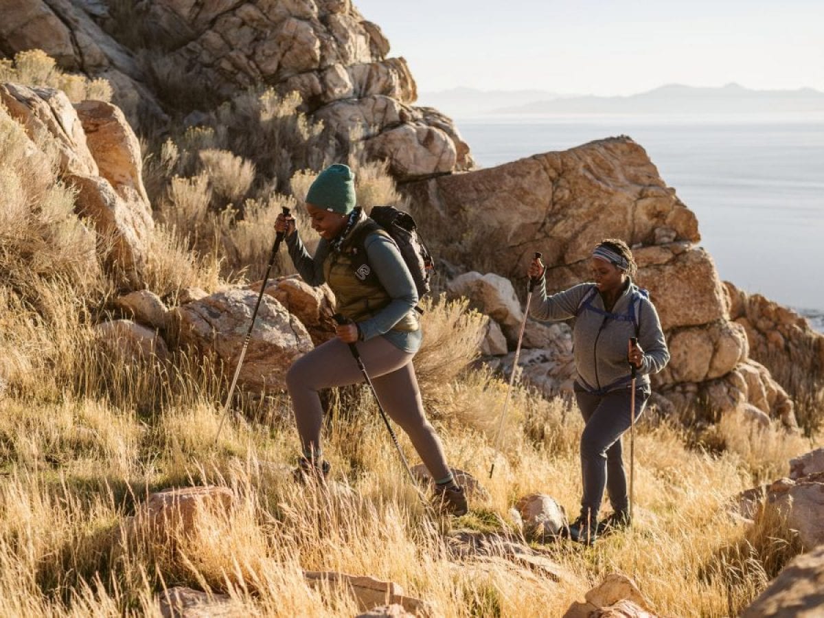 best hiking sticks 2019