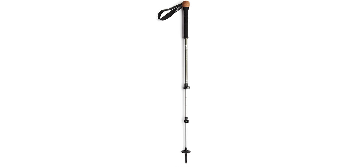 collapsible walking stick rei